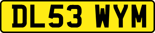 DL53WYM