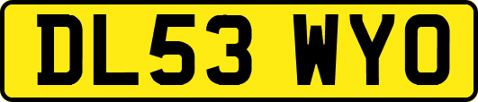 DL53WYO