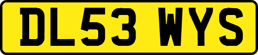 DL53WYS