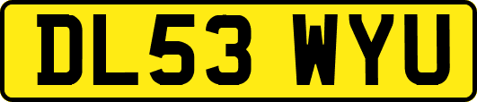 DL53WYU