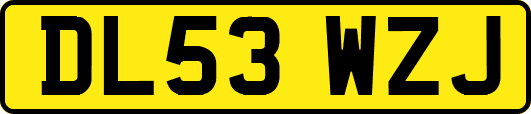DL53WZJ