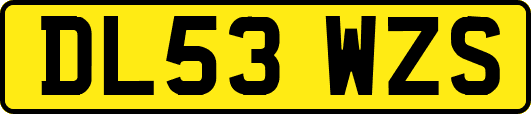 DL53WZS