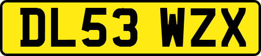 DL53WZX