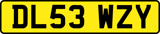 DL53WZY