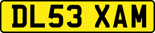 DL53XAM