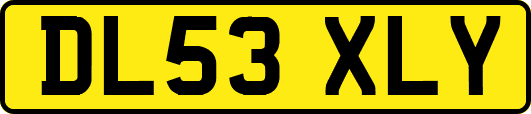 DL53XLY