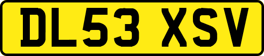 DL53XSV