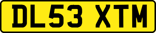 DL53XTM