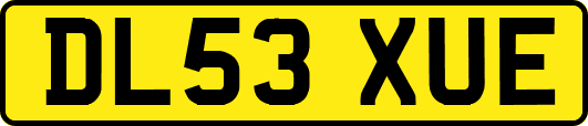 DL53XUE