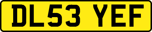 DL53YEF