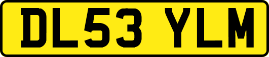 DL53YLM
