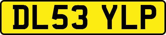 DL53YLP