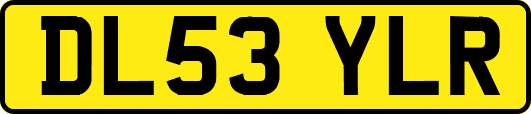 DL53YLR