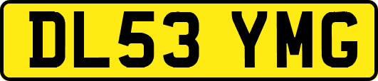 DL53YMG