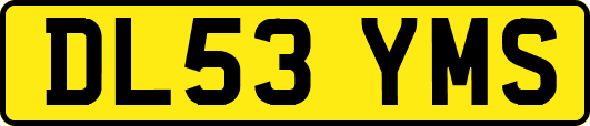 DL53YMS