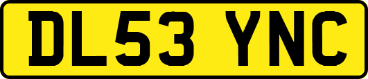 DL53YNC