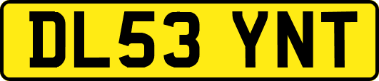 DL53YNT