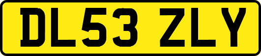 DL53ZLY