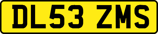 DL53ZMS