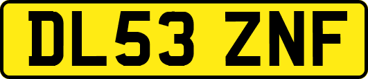 DL53ZNF