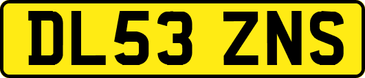 DL53ZNS