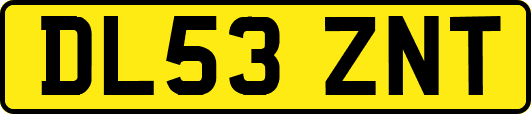 DL53ZNT