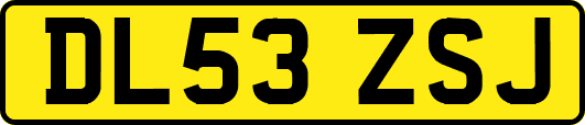 DL53ZSJ
