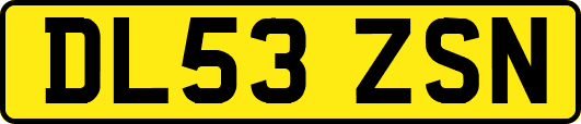 DL53ZSN
