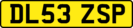 DL53ZSP