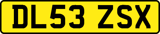 DL53ZSX