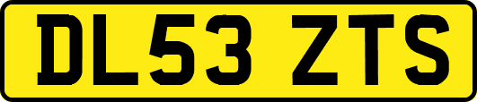 DL53ZTS