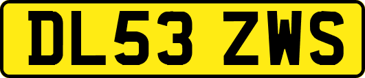 DL53ZWS