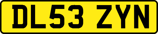 DL53ZYN