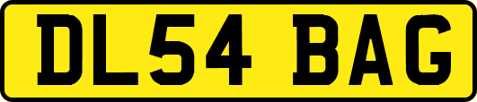 DL54BAG