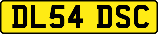 DL54DSC