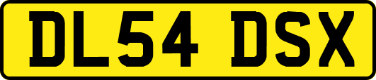 DL54DSX