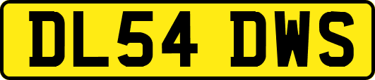 DL54DWS
