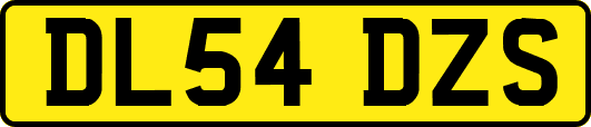 DL54DZS