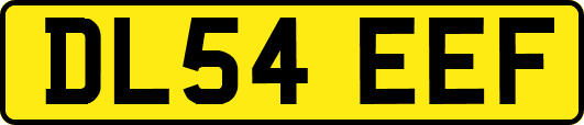 DL54EEF