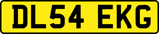 DL54EKG