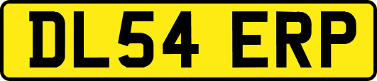 DL54ERP