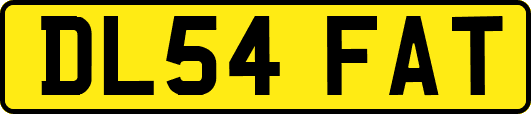 DL54FAT