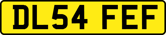 DL54FEF