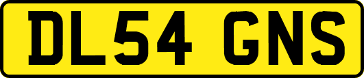 DL54GNS