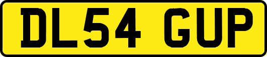 DL54GUP