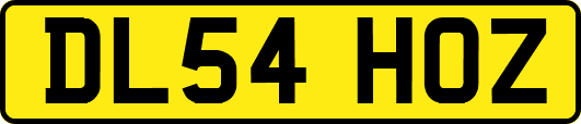DL54HOZ