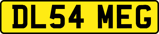 DL54MEG