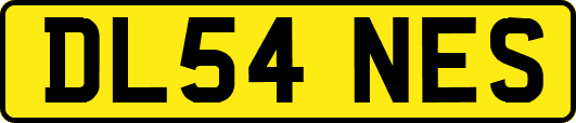 DL54NES