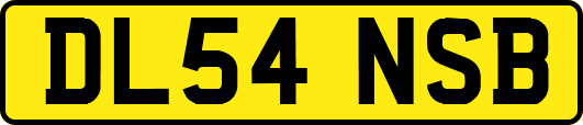 DL54NSB