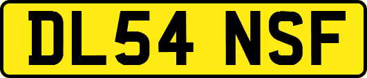 DL54NSF
